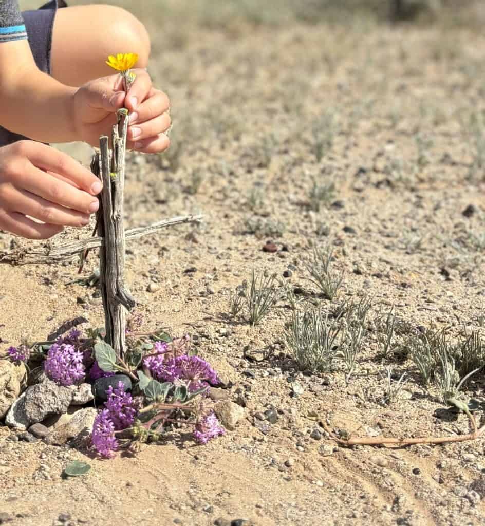 A boy positions a flower on his dead mouse's grave.