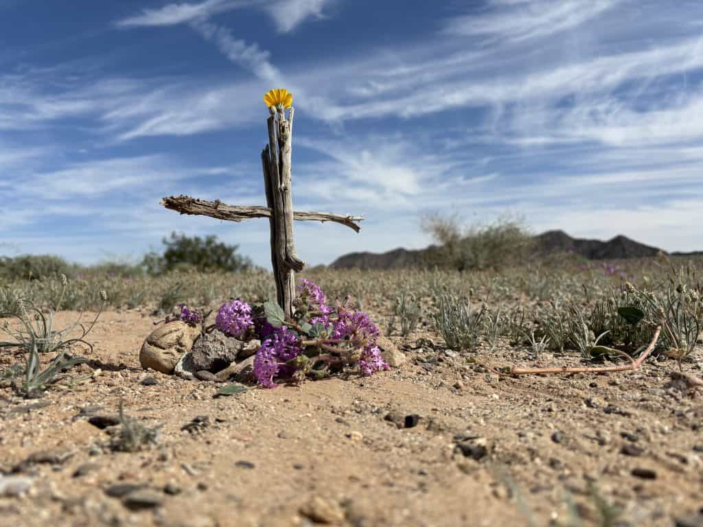 A mouse's grave.